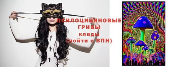 spice Алексин